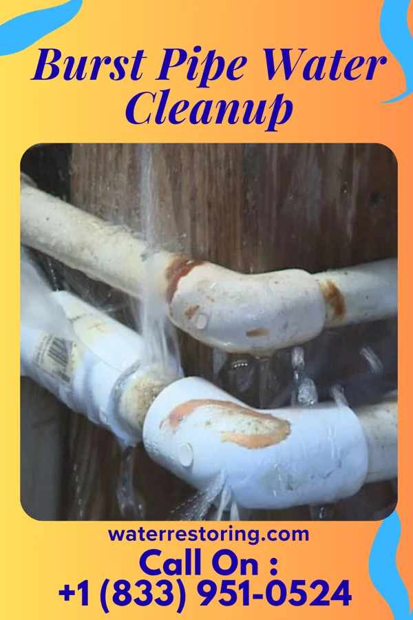 Burst Pipe Water Cleanup in Erath, LA