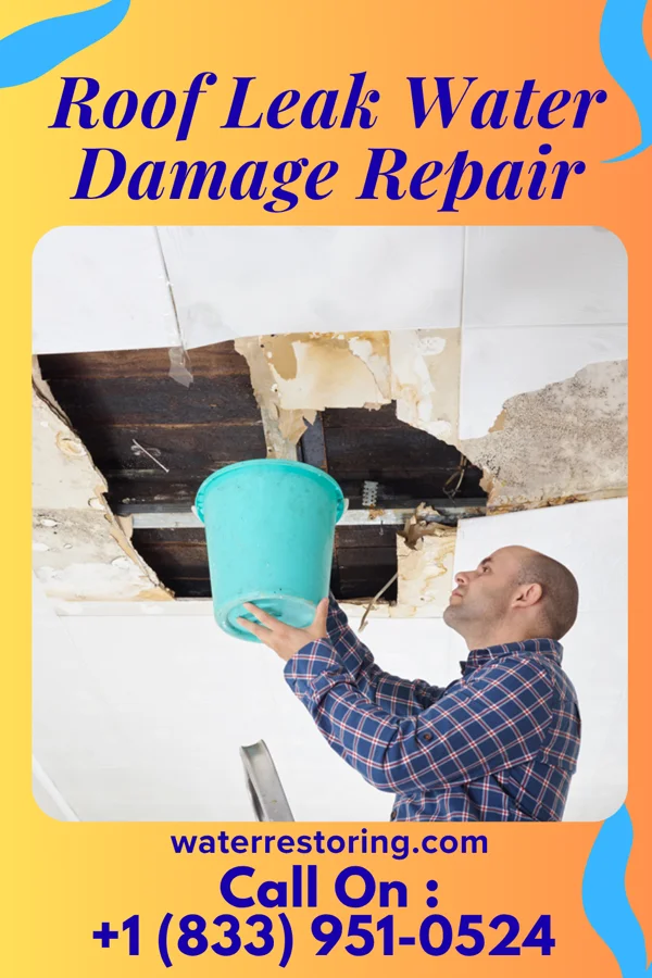 Roof Leak Water Damage Repair in Erath, LA