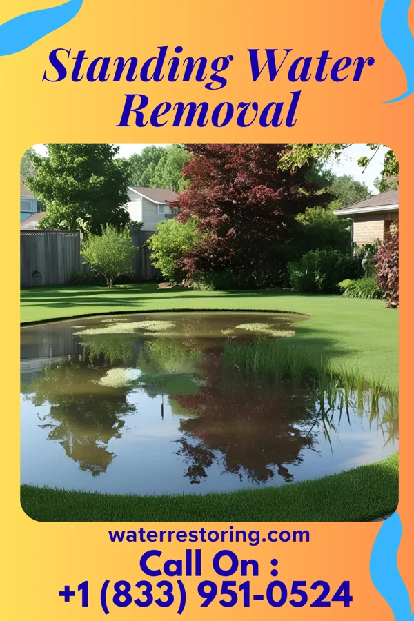 Standing Water Removal in Erath, LA